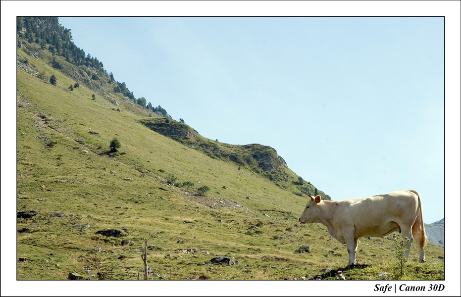 Sept 06 Tarbes - Ballade gaubie 42